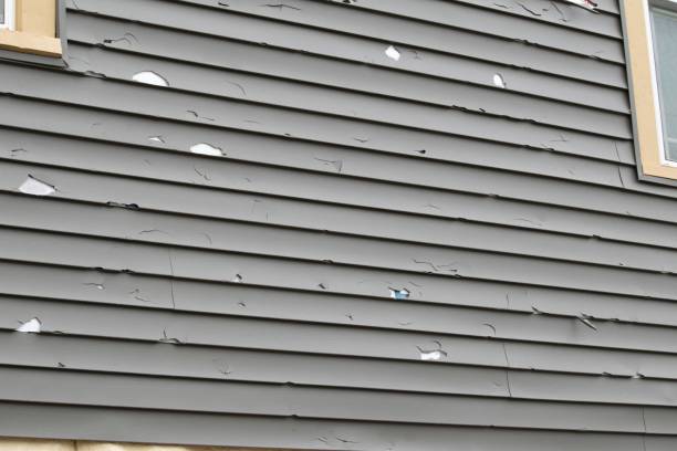 Reliable Colusa, CA Siding Installation & Repair Solutions